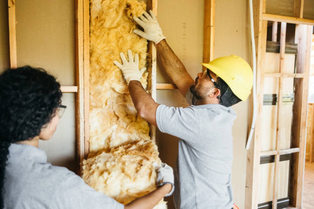 Best Radiant Barrier Insulation  in USA